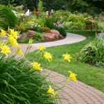 tranquil garden