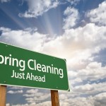 Spring Clean Up