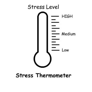 Stress thermometer