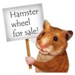Hamster wheel for sale