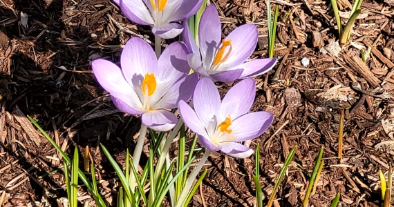 Spring is Here… but Are You Still in Winter Mode?