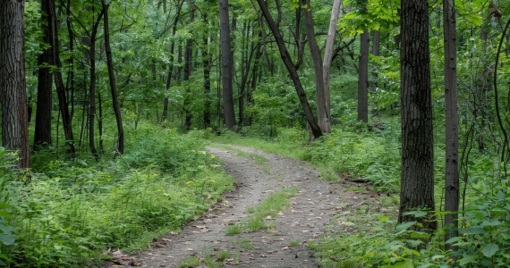 A Simple Way to Come Back to Yourself