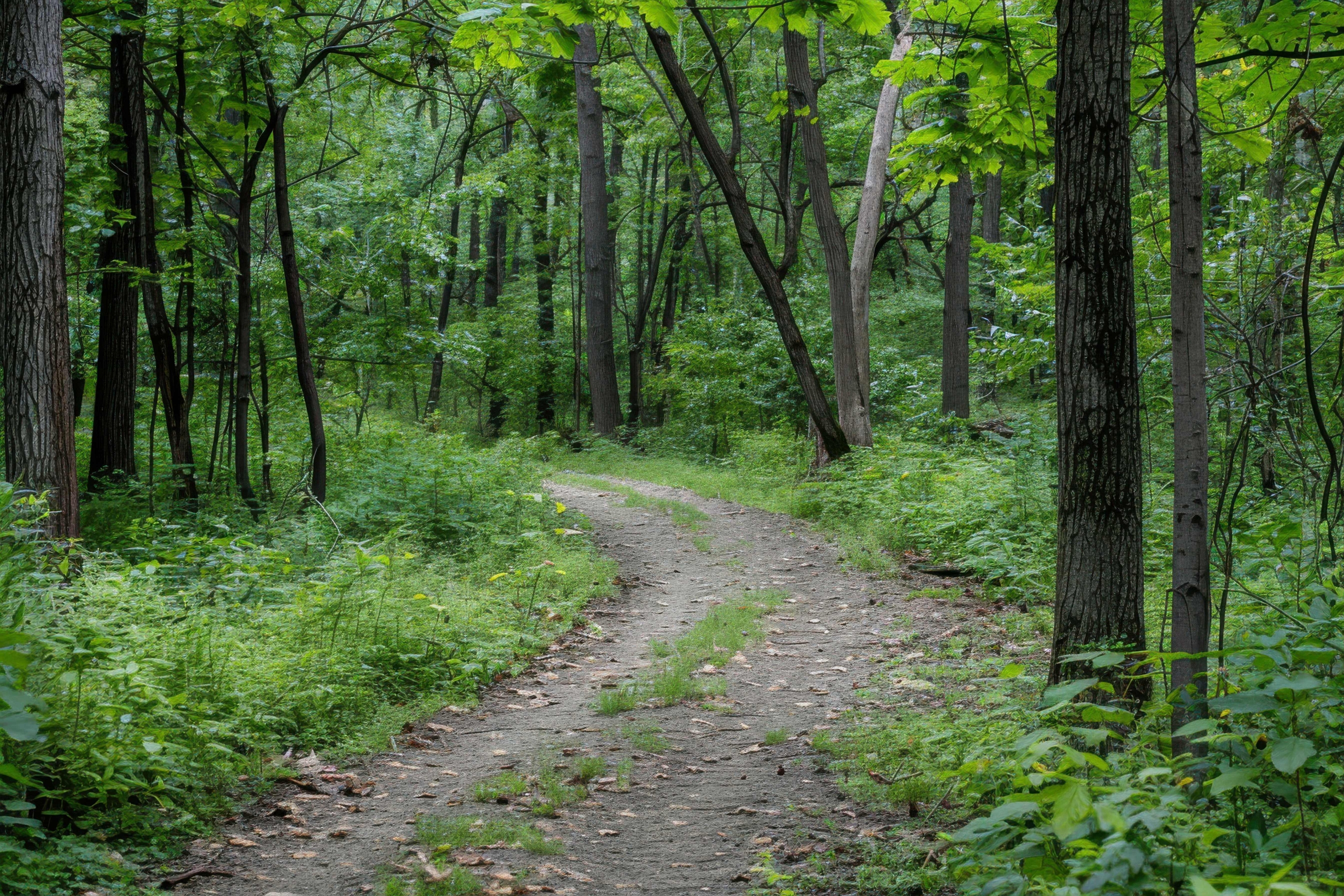 A Simple Way to Come Back to Yourself