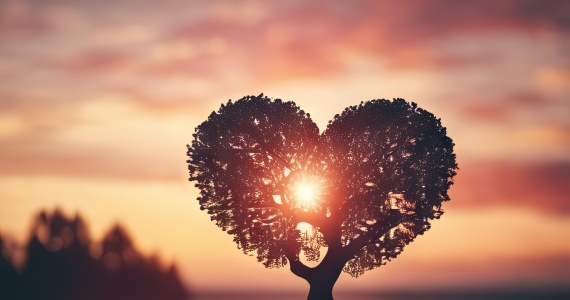 Reclaim Your Calm in a Noisy World!