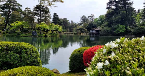 What Japan Taught Me About Stress, Change & Well-Being